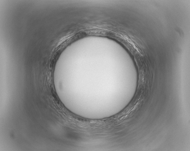 X0000116821350200912181106