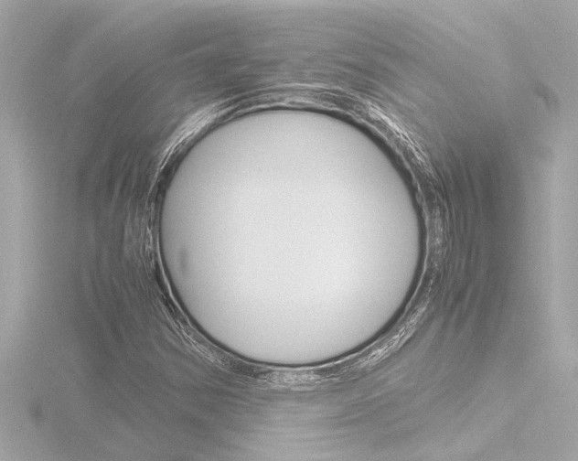 X0000116821354200912181106