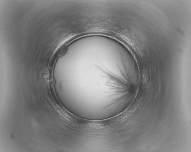X0000116821356200912181106