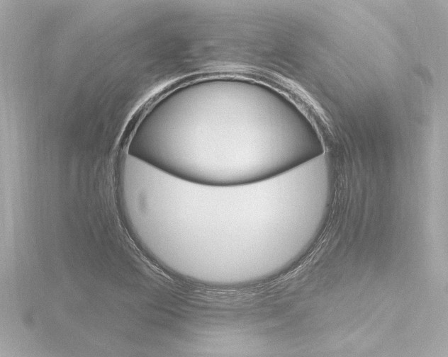X0000116821364200912181106