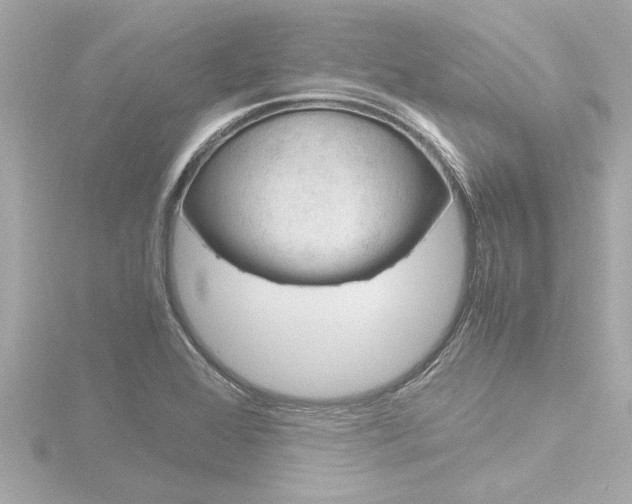 X0000116821368200912181106