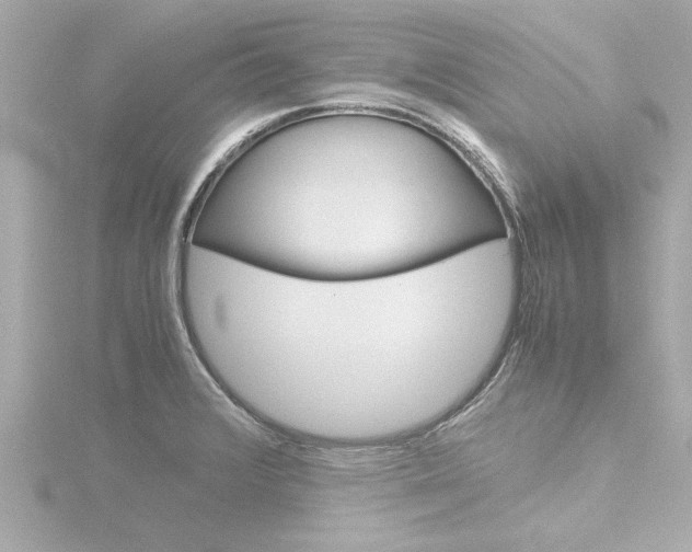X0000116821376200912181106