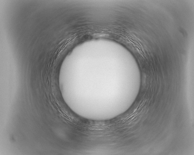 X0000116821393200912181105