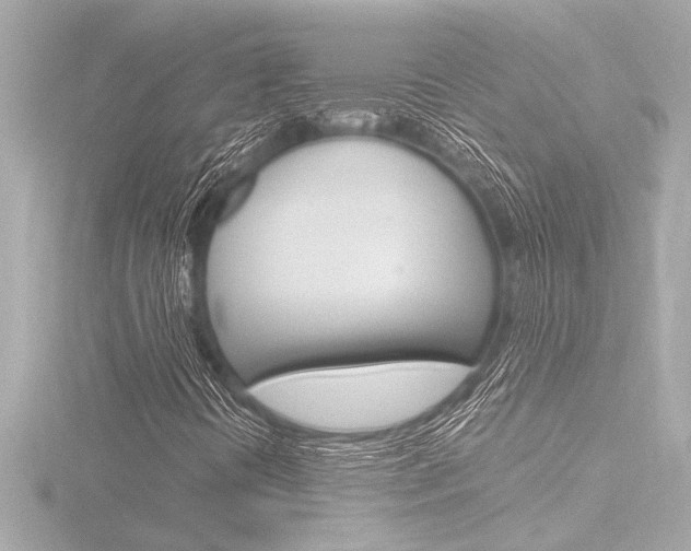X0000116821394200912181105