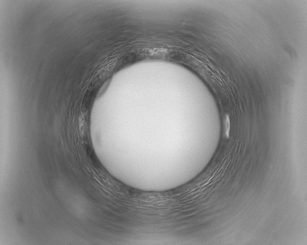 X0000116821395200912181105