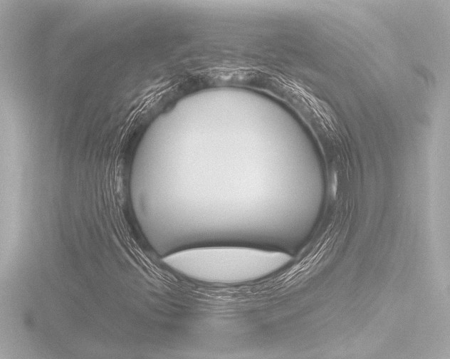X0000116821396200912181105