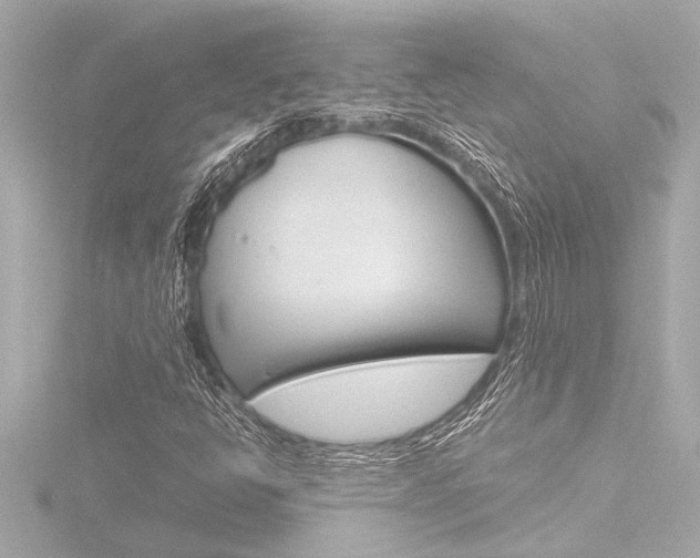 X0000116821398200912181105