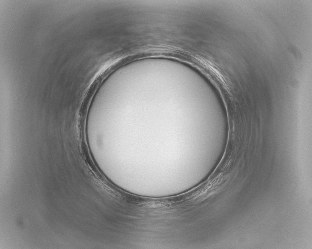 X0000116821404200912181105