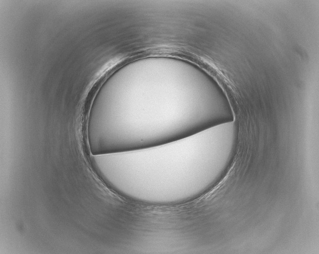 X0000116821410200912181105