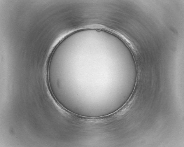 X0000116821430200912181105