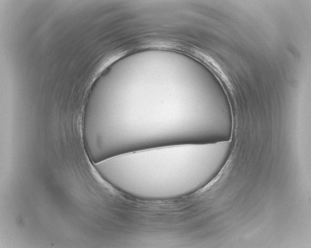 X0000116821433200912181105