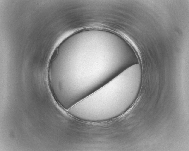 X0000116821437200912181105