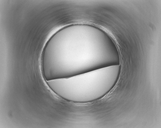 X0000116821440200912181105