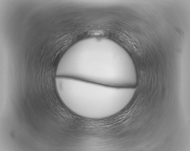 X0000116821442200912181105