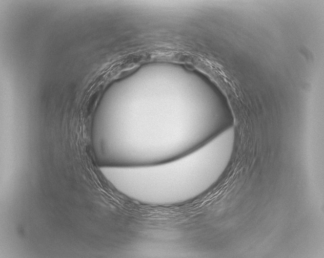 X0000116821445200912181105