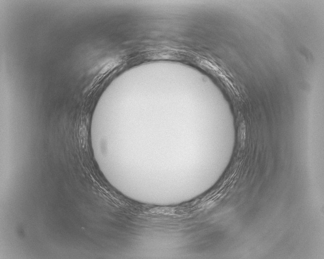 X0000116821446200912181105