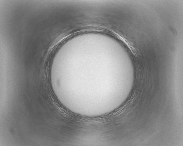 X0000116821448200912181105