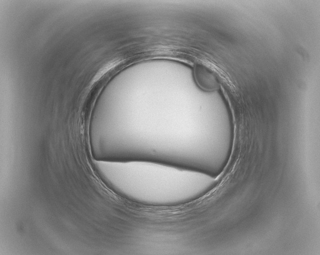 X0000116821450200912181105
