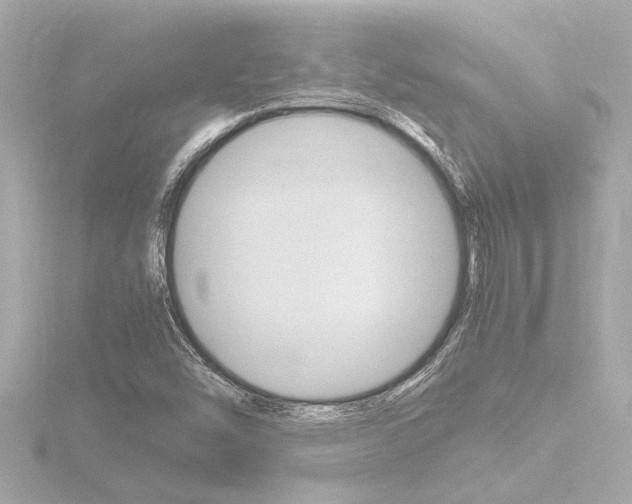 X0000116821454200912181105