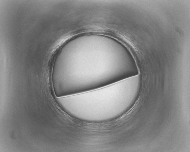 X0000116821455200912181105