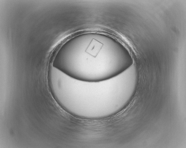 X0000116821456200912181105