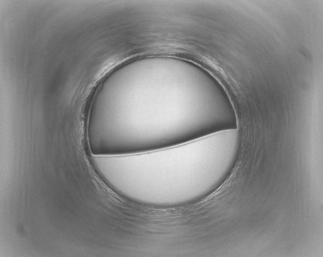 X0000116821459200912181105