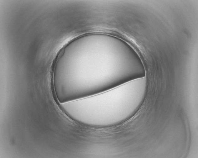 X0000116821463200912181105