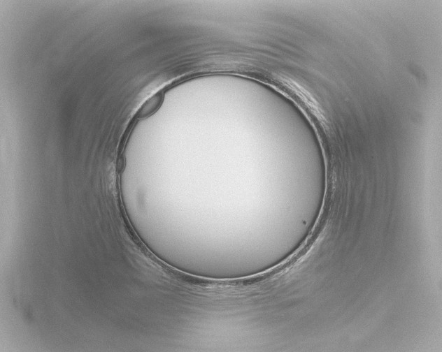X0000116821465200912181104