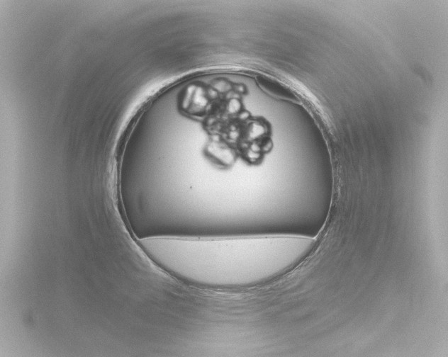 X0000116821472200912181104