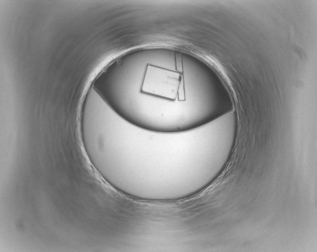 X0000116821488200912181104