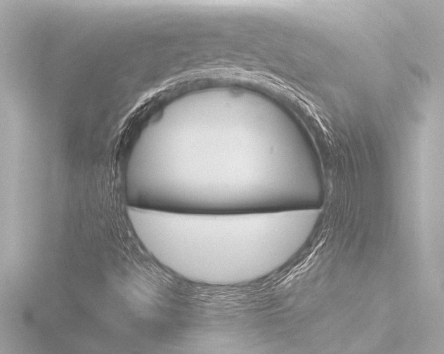 X0000116821494200912181104