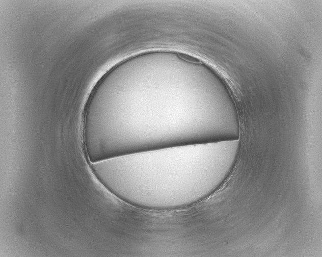 X0000116821527200912181104