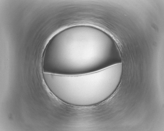 X0000116821534200912181104