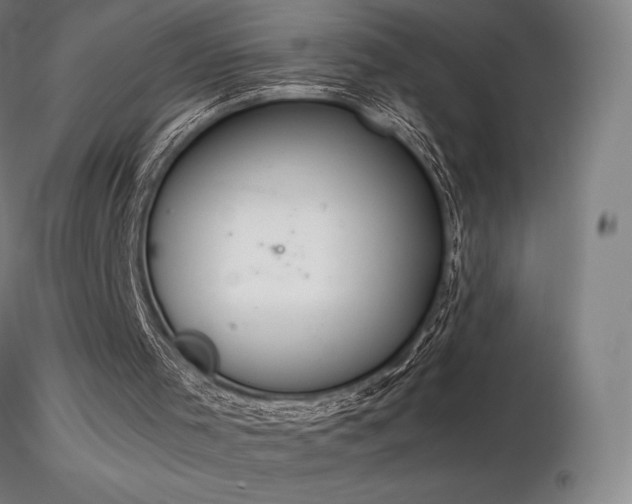 X0000116820001200912181419