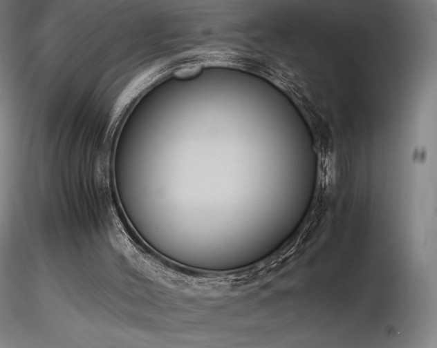 X0000116820004200912181419