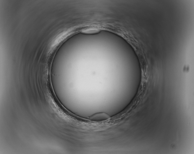 X0000116820005200912181419