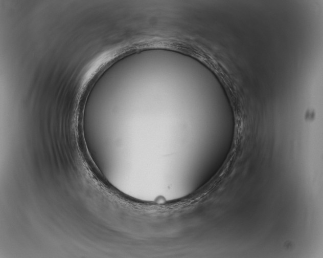 X0000116820006200912181419