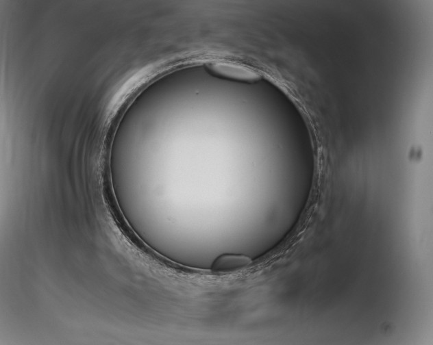 X0000116820007200912181419