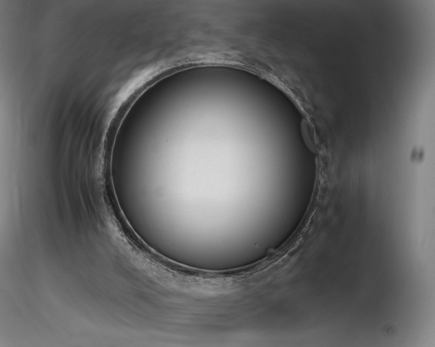 X0000116820008200912181419