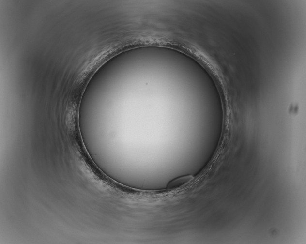 X0000116820009200912181419