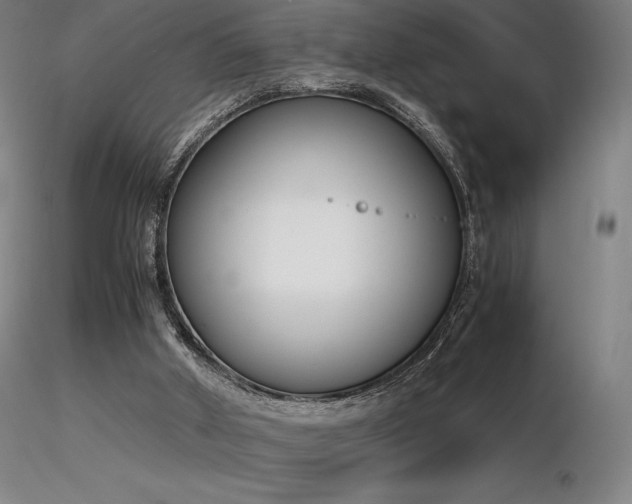 X0000116820010200912181419