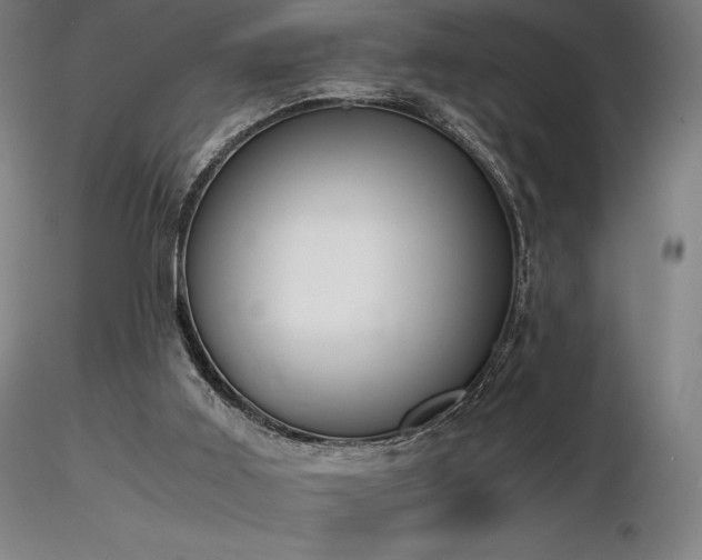 X0000116820011200912181419