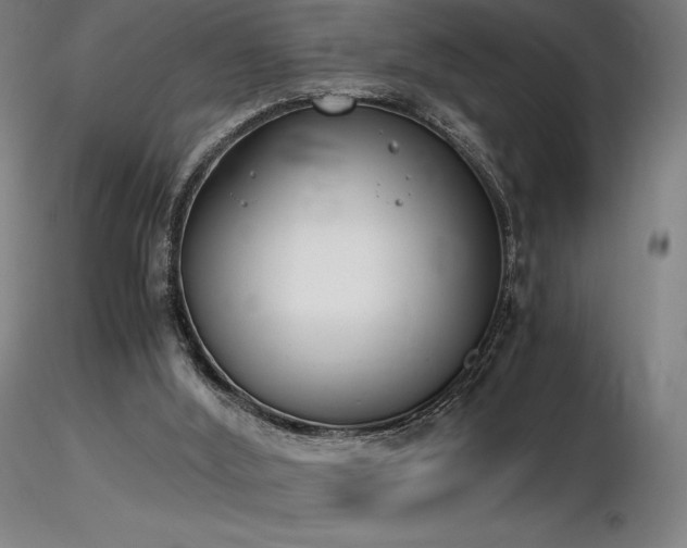 X0000116820012200912181419