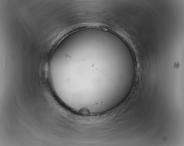 X0000116820013200912181419