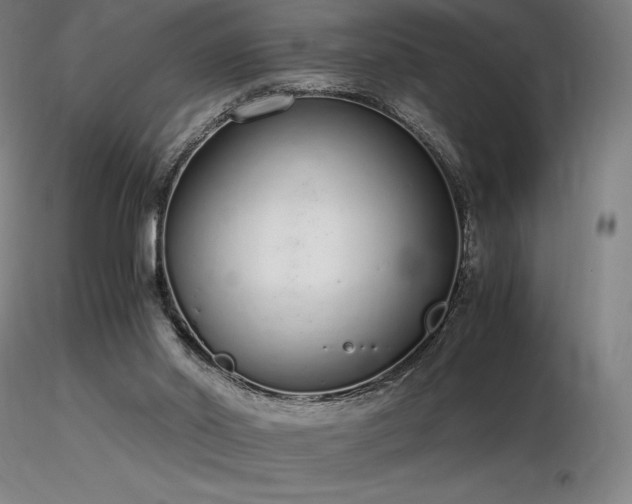 X0000116820014200912181419