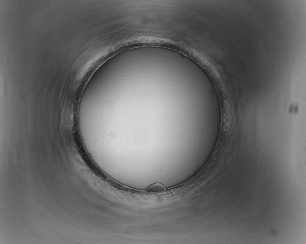 X0000116820015200912181419