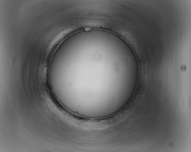 X0000116820016200912181419