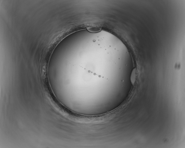 X0000116820017200912181419