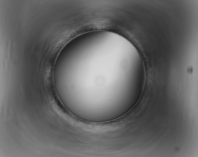 X0000116820018200912181418