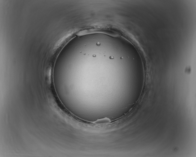 X0000116820019200912181418